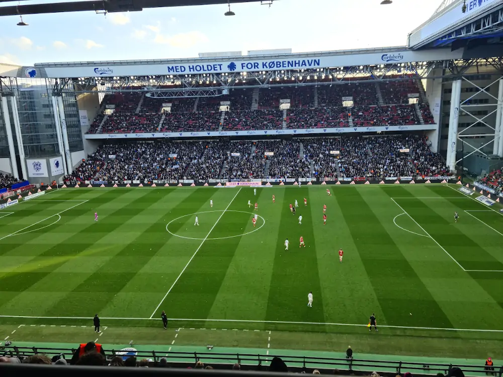 **Fans in a football stadium during a match**
