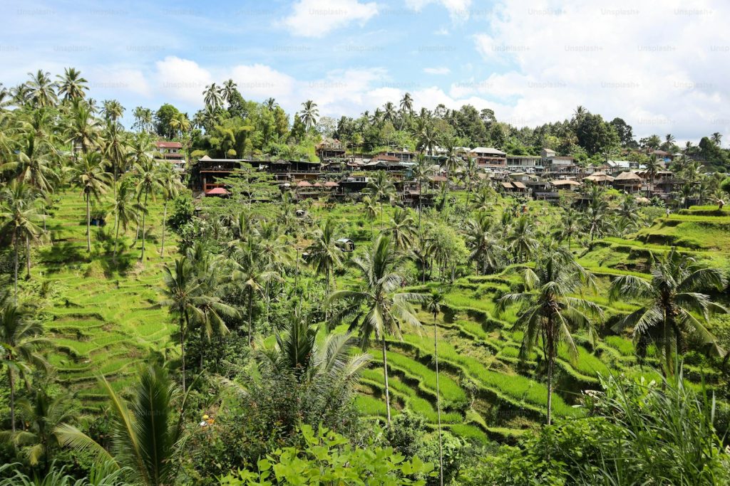 Arrozales escalonados de Tegalalang en Ubud, Bali