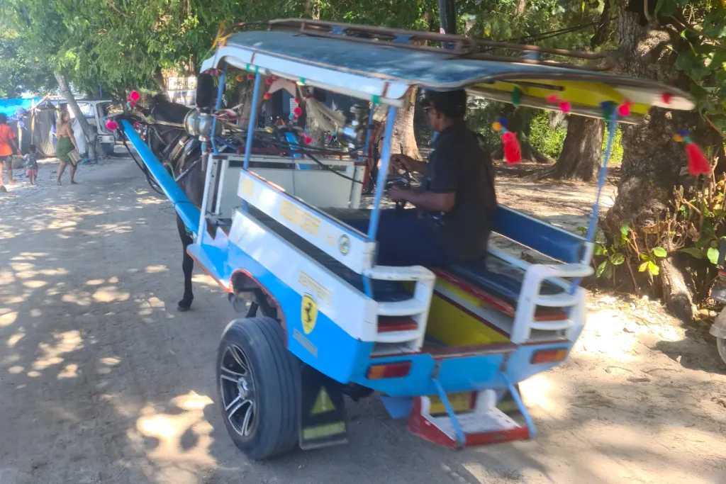 Cidomo, el transporte tradicional con caballo en la isla de Gili Air, Indonesia