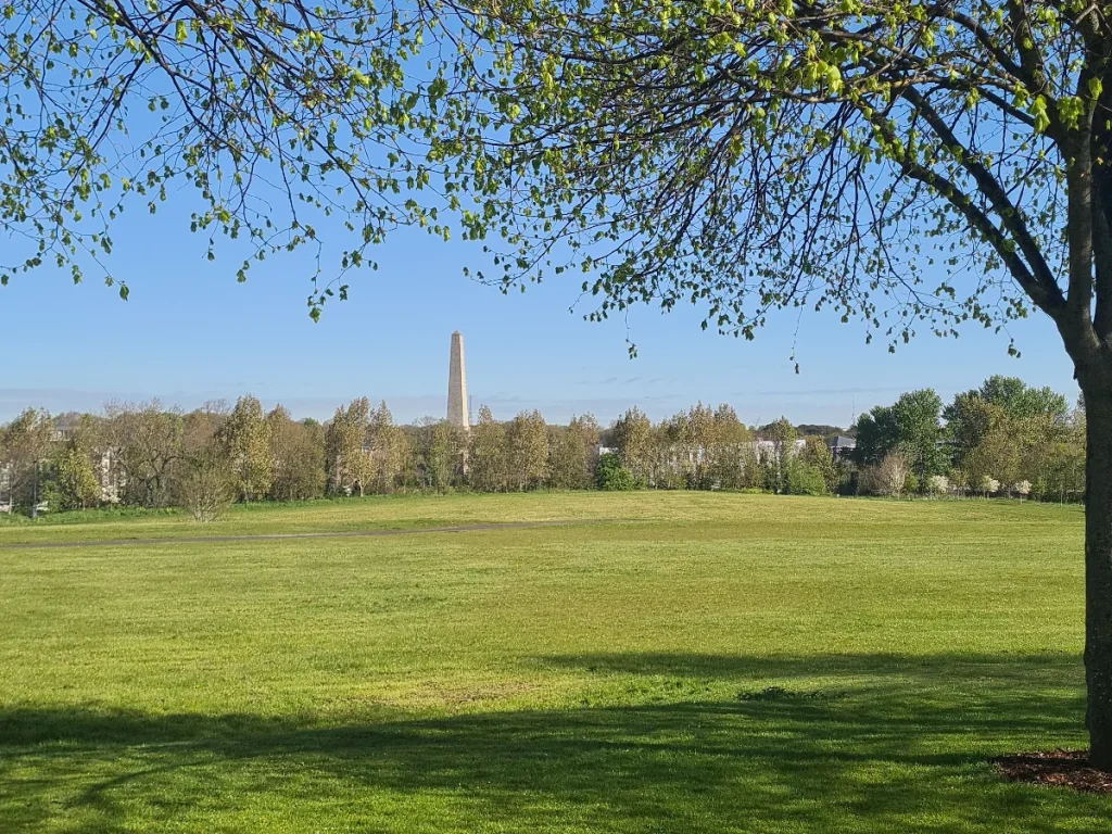 View of the Wellington Monument from the IMMA gardens in Dublin, with a tree in the foreground