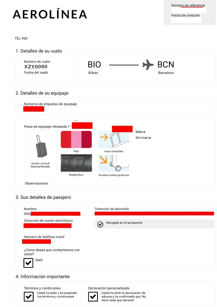 Informe PIR de equipaje perdido, anonimizado