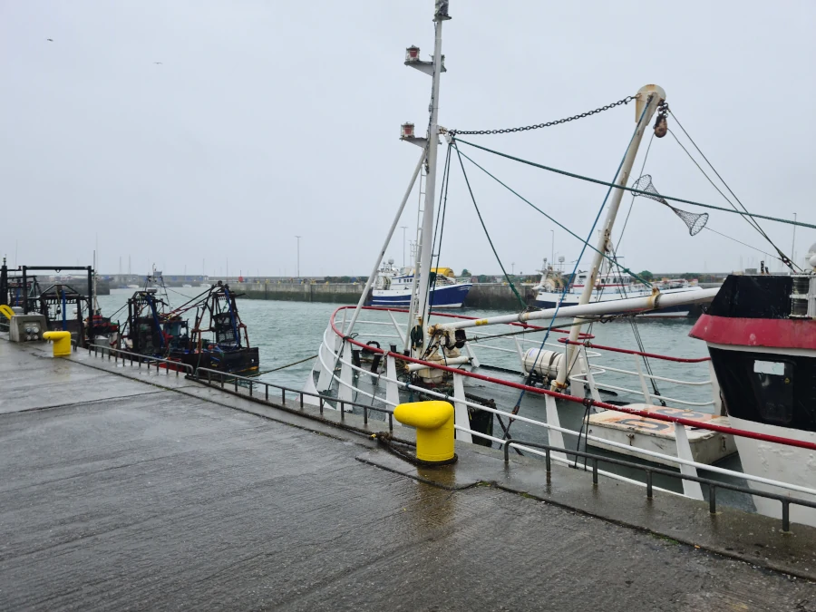Vista del puerto de Howth con barcos amarrados, muelles históricos y el pueblo al fondo, junto al mar de la bahía de Dublín.